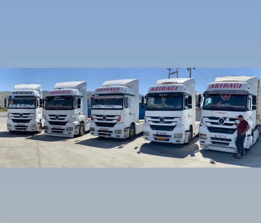 ARIBAĞI filo dizilimi